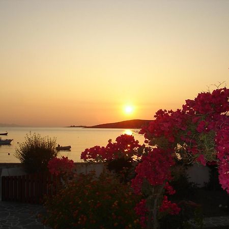 Irene Hotel - Beachfront Páros Dış mekan fotoğraf