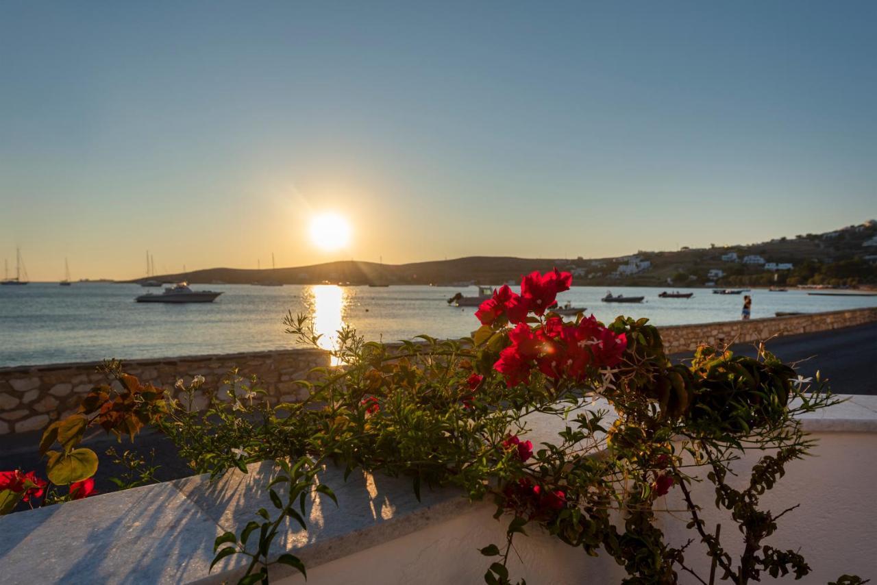 Irene Hotel - Beachfront Páros Dış mekan fotoğraf