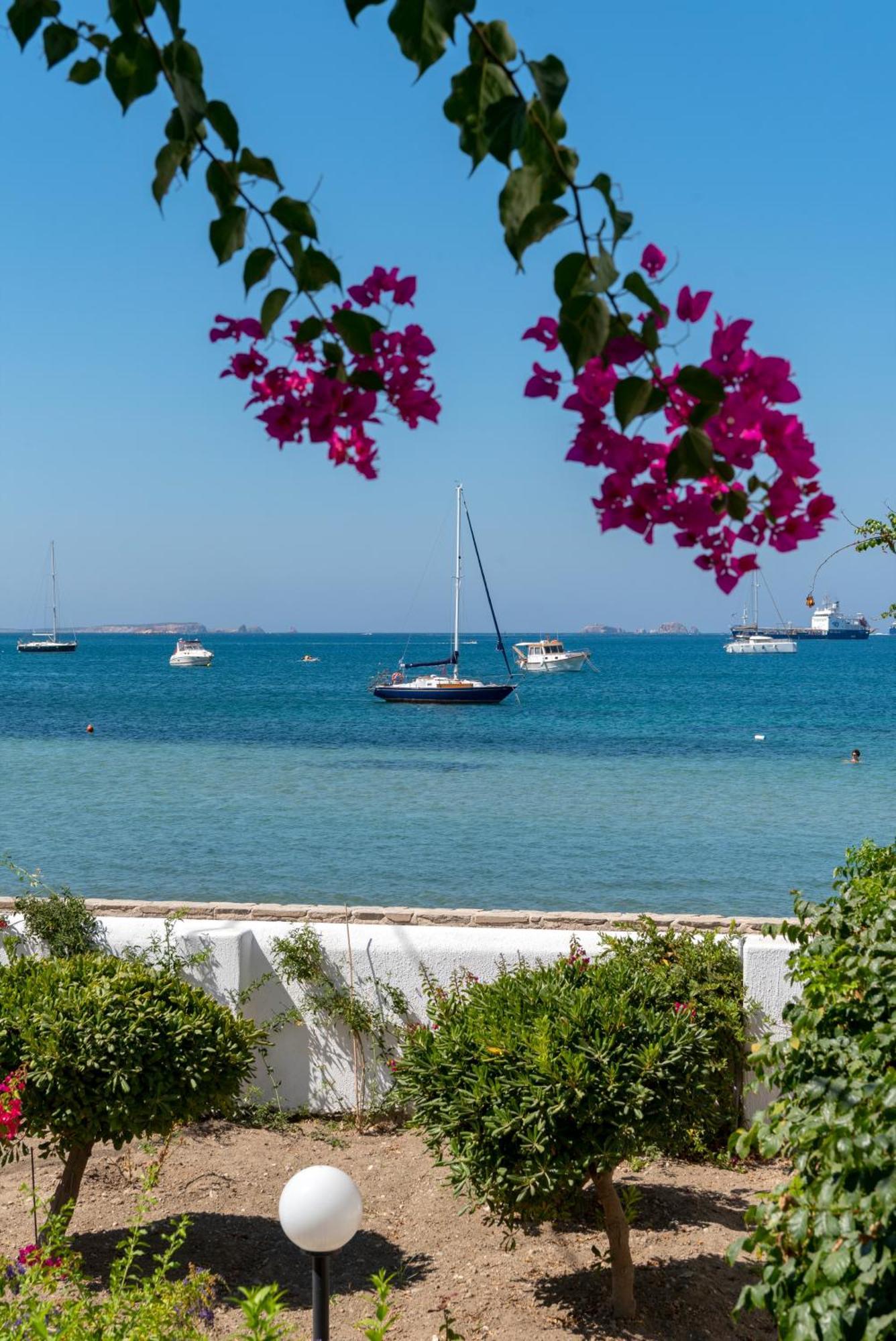 Irene Hotel - Beachfront Páros Dış mekan fotoğraf