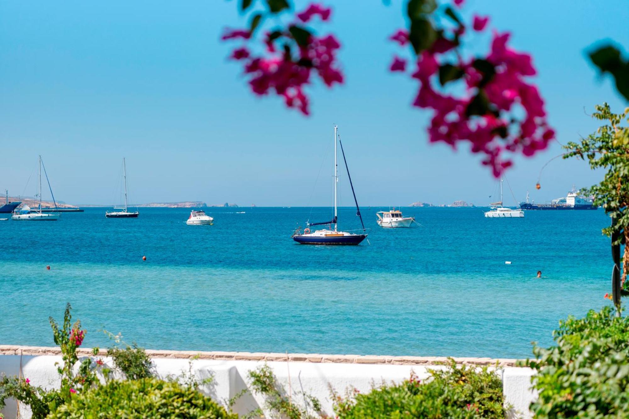 Irene Hotel - Beachfront Páros Dış mekan fotoğraf