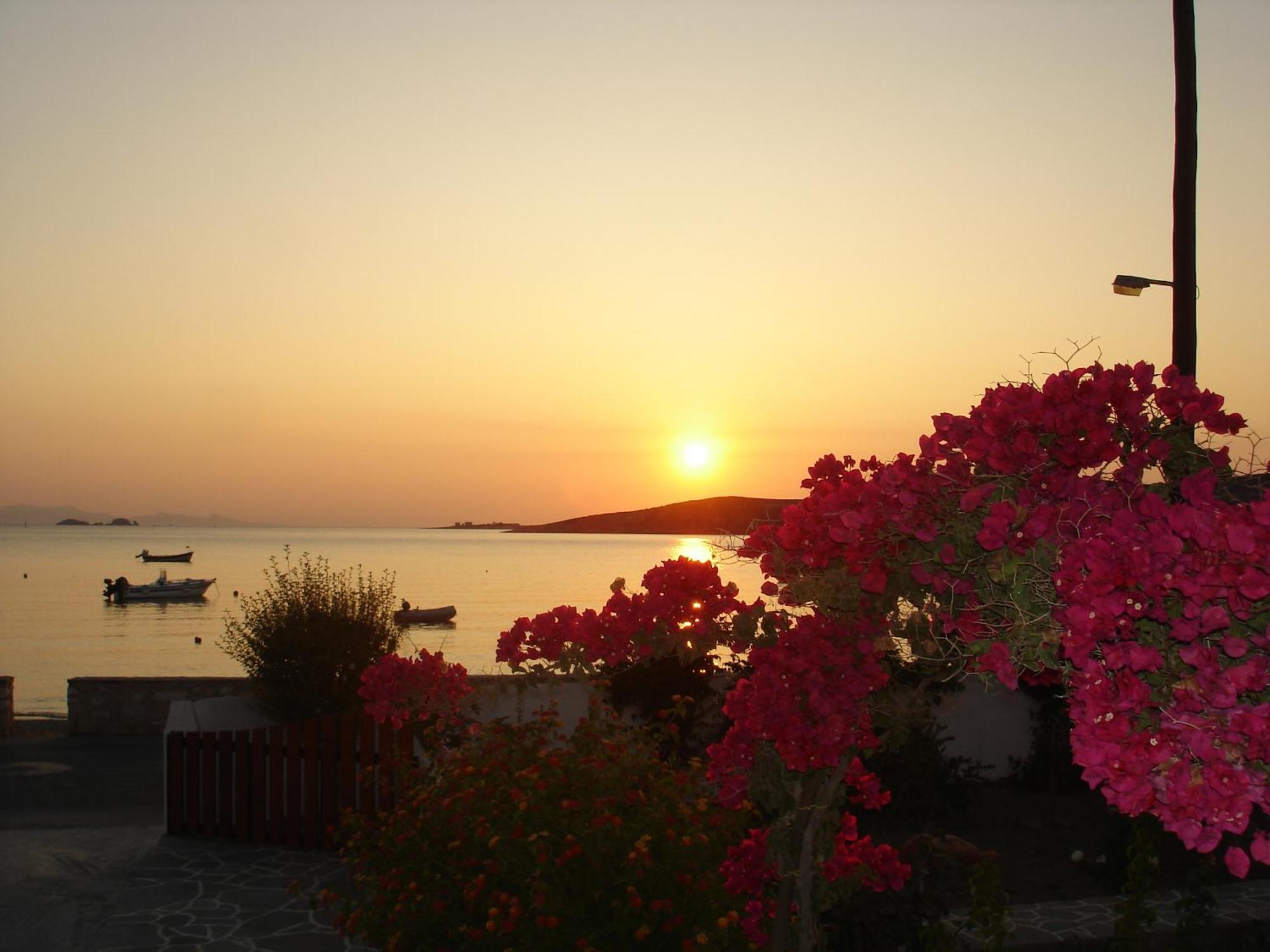 Irene Hotel - Beachfront Páros Dış mekan fotoğraf